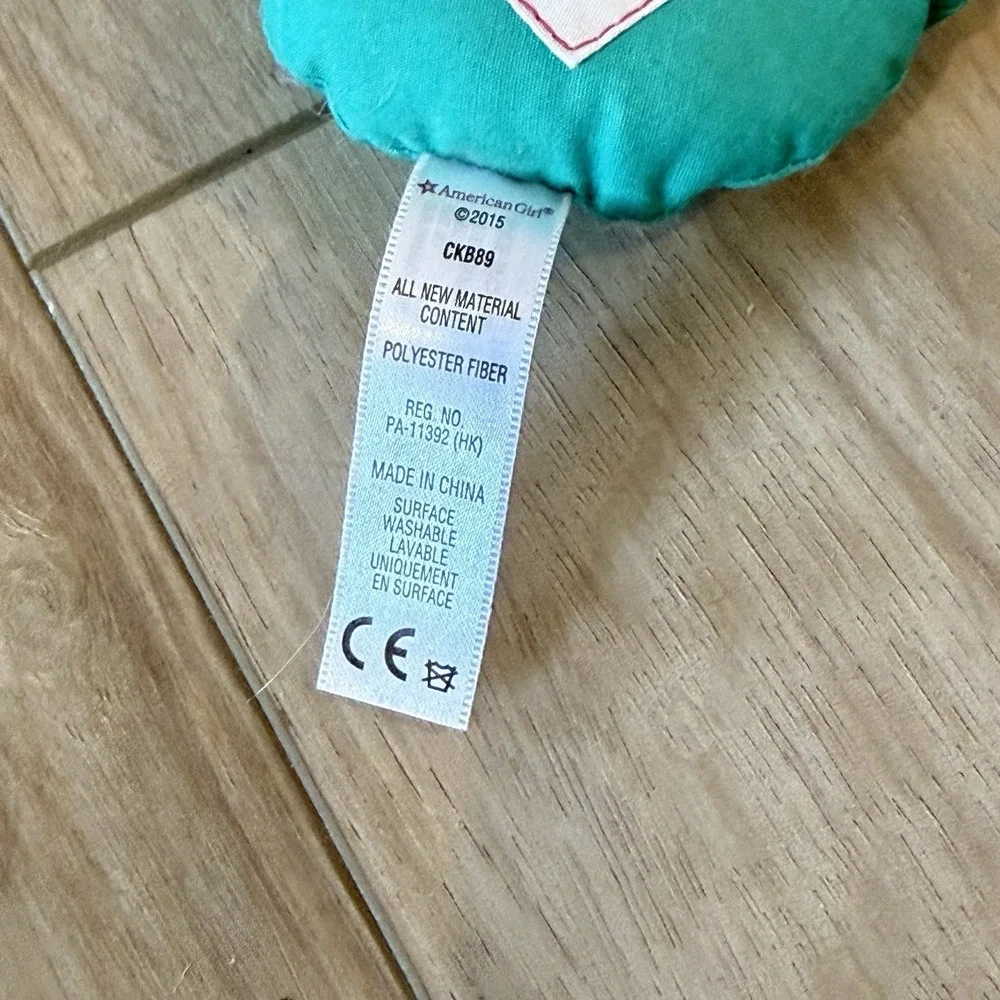 American Girl Kit Kittredge Teal Pink Pinwheel Circle Quilt Pillow CKB89 2015
